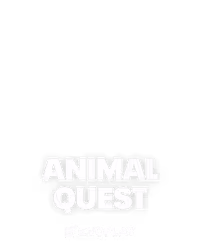 Animal Quest