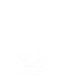 Bão Tố Sấm Sét