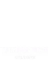 Plinko Dice