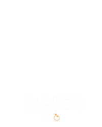 飞龙在天