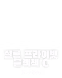 살롱 프라이빗 블랙잭 C