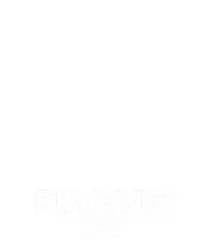 Fly Cat$