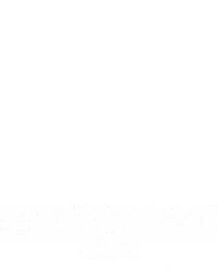 辛巴达的黄金之旅