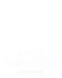 Ninja Crash 500