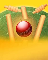 Wicket Blast