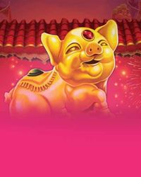 Golden Pig