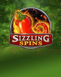 Sizzling Spins