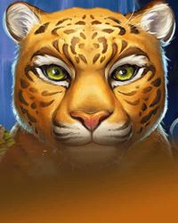 Rainforest Magic Bingo