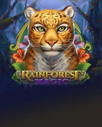 Rainforest Magic