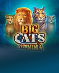 Big Cats of India