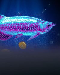 Arowana's Luck