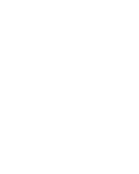 Diamond Party