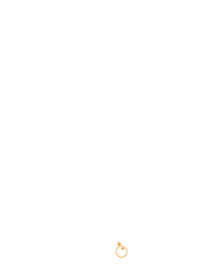 Dragon Tiger