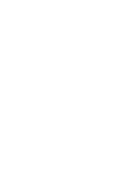 Master Tiger