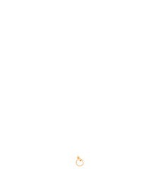 Disco Lady