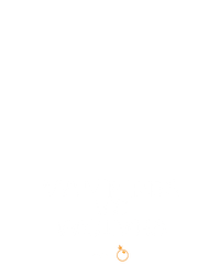 Vampires VS Wolves