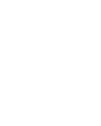 Cricket King 18