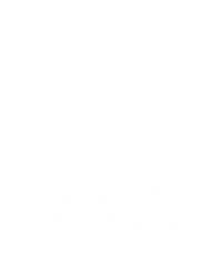 沙龙私人自动轮盘 A