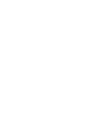Fortunes of Rome