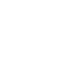 Brute Force