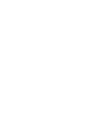 Rapid-Auto Roulette