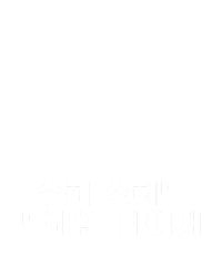 슈퍼 스피드 드래곤 타이거