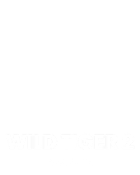Wild Tiger 2