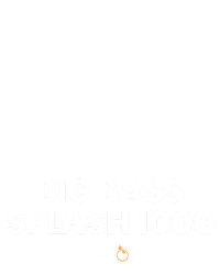 Big Bass Splash 1000