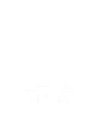 ⼆⼗⼀点 VIP 41