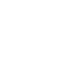 Race Track