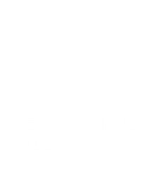 Medusa the Wild Temple