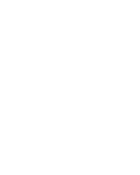 100 Bracelets