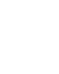 Fortune Gems