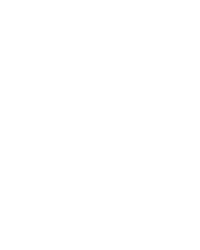 Party Night