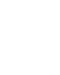 Sizzling Spins