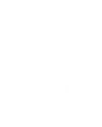 极速 VIP 二十一点 2