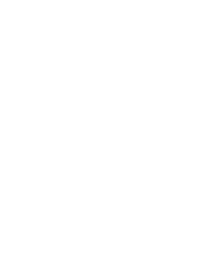 Wild Racer