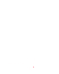 Bingo 90