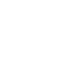 Dice 2