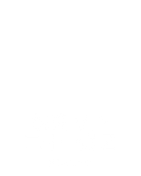 极速 VIP 二十一点 Z