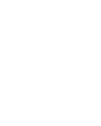 Eagle Storm