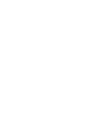 Mega Party Bucks