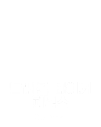 드래곤 타이거 피닉스