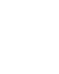 Charge Buffalo