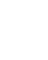 Rainforest Magic