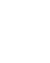 Cash 100
