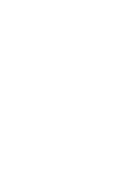 Crazy Pusher