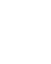 The American Bingo