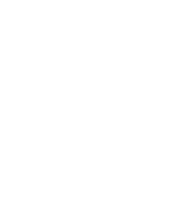 Shanghai Beauty