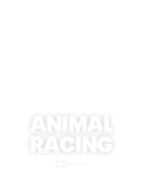ANIMAL RACING